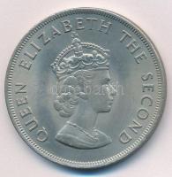 Jersey 1966. 5Sh Cu-Ni "A hastingsi csata 900. évfordulója" T:AU patina
Jersey 1966. 5 Sh...