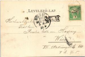 1901 Zsolna, Zilina; Hrad Budatín / Budatin vára a Vág völgyében, vasút híd. Schmidt Edgar kiadása /...