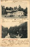 1905 Thurzófüred, Kupele Turzo (Gölnicbánya, Gelnica); nyaraló, látkép. Wlaszlovits Gusztáv kiadása / villa, general view, spa (EK)