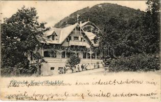 1900 Kovácspatak, Kovacov; Otthon villa / villa, spa (fa)