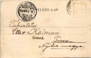 1900 Kovácspatak, Kovacov; Otthon villa / villa, spa (fa)