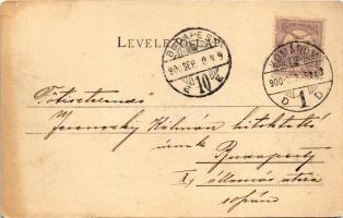 1900 Komárom, Komárno; Vármegyeház utca, Megyeháza. Spitzer Sándor kiadása / street view, county hal...