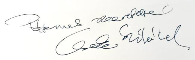 Bálványos Anna: Cseke Szilárd - Erdő sorozat. Forest series. A művész, Cseke Szilárd (1967-) által D...