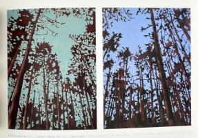 Bálványos Anna: Cseke Szilárd - Erdő sorozat. Forest series. A művész, Cseke Szilárd (1967-) által D...