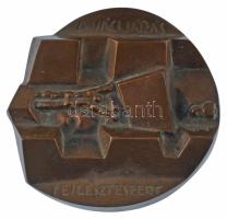 DN A váci járás fejlesztéséért egyoldalas, öntött bronz plakett (~103-108mm) T:XF