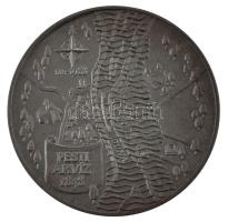 Fritz Mihály (1947-) 1988. "MÉE - A nagy árvíz emlékére - Wesselényi Miklós / Pesti árvíz 1838&...