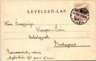 1899 (Vorläufer) Vőfély, magyar folklór művészlap / Brautwerber / Hungarian folklore art postcard, b...