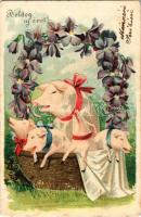 1903 Boldog Újévet / New Year greeting art postcard with pigs. Floral, Emb. litho (r)