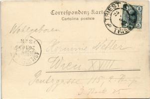 1905 Trieste, Trieszt; Molo S. Carlo, "Graf Wurmbrand" steamship (EK)