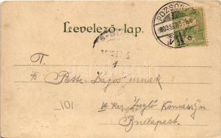 1902 Pozsony, Pressburg, Bratislava; Ligeti díszkert / Aupark. G. Rüger & Co. No. 9503. Art Nouv...