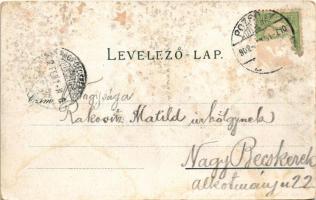 1902 Pozsony, Pressburg, Bratislava; vár, gőzhajó. Schneider & Lux / castle, steamship (Rb)