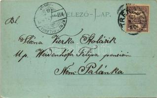 1901 Trencsén, Trencín; látkép este. Gansel Lipót kiadása / general view at night (EK)