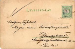 Im XX. Jahrhundert / A XX. században - Női hadsereg. Feminista képeslap / In the 20th century - Wome...