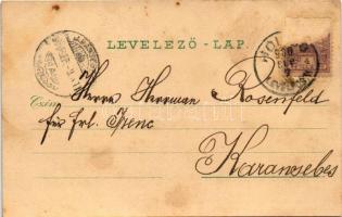 1900 Holics, Holic; Szarvasvadászat, Régi piac, Lóverseny, Fő utca, vár, Malovány üzlete / deer hunt...