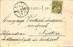 1902 Szklenófürdő, Sklené Teplice; Úri fürdő, látkép, park / spa, bath, general view, park. Stengel ...