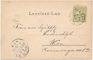 1904 Nyitraszeg, Chalmová; Besztercsény kastély / castle (fl)