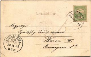 1905 Léva, Levice; várrom. Nyitrai és Társa kiadása / Levicky hrad / castle ruins (EK)