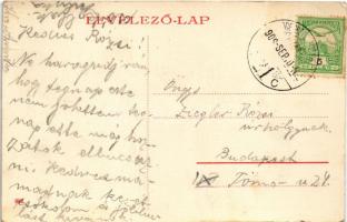 1909 Zólyom, Zvolen; Állami polgári fiúiskola, zsinagóga. W.L. (?) 984. / boys' school, synagog...