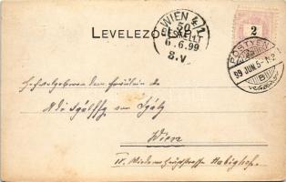 1899 (Vorläufer) Pöstyén, Piestany; Park részlet a Vág partján, komp. A. Bernas kiadása / Váh rivers...