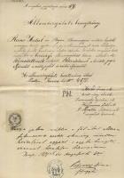 1871-1930 Államvizsga bizonyítvány (Pest) és gyógyszergyakornoki végbizonyítvány pecséttel, aláírásokkal és okmánybélyegekkel