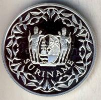 Szurinam 1990. 25G Ag "Labdarúgó VB" T:PP