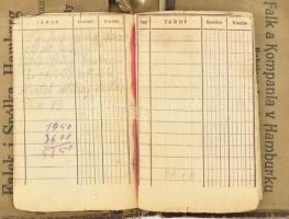 cca 1910 Falk és Társa Hamburg Hajó menetjegy tartó vászon, több nyelvű, szakadt. 16x12 cm