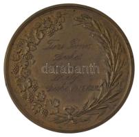 1932. "Tolna Megye Gazdasági Egyesülete" bronz emlékérem, hátoldalán gravírozott feliratta...
