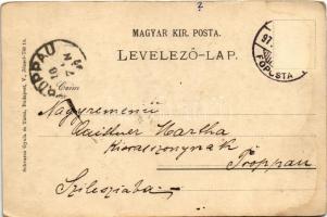1897 (Vorläufer) Budapest, Látkép a Lánchíddal, Bazilika, Duna. Schwarcz Gyula és Társa kiadása (fl)