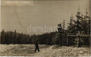 1931 Rejvíz, Reihwiesen; Hohe Tanne / winter sport, sled. photo