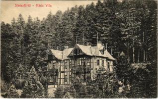 1913 Stószfürdő, Stoósz-fürdő, Kúpele Stós; Mária villa. Wlaszlovits Gusztáv kiadása / villa, spa (EK)