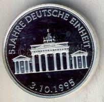 Németország 1995. "5 éves a német egység" Ffm emlékérem T:PP