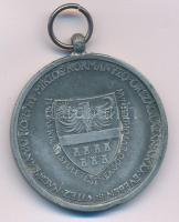 1940. "Erdélyi részek felszabadulásának emlékére" Zn emlékérem mellszalag nélkül. Szign.: ...