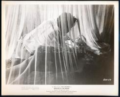 cca 1965 ,,Akasztottak lázadása" (Rebellion of the Hanged) című amerikai film egy jelenete, 1 db vintage produkciós filmfotó ezüst zselatinos fotópapíron, a használatból eredő (esetleges) kisebb hibákkal, 20,5x25,5 cm