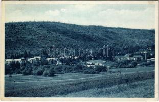 1938 Bártfafürdő, Bardejovské Kúpele, Bardiov, Bardejov; látkép / general view, spa (fa)