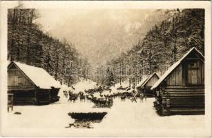 1927 Tátra, Magas-Tátra, Vysoké Tatry; Krmenie jelenov / Hirschfütterung / Szarvasetetés / deer feeding (fl)