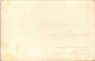 Tátra, Magas-Tátra, Vysoké Tatry; tehenek / cows. photo (EK)