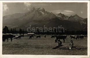 1928 Tátra, Magas-Tátra, Vysoké Tatry; Csorba-tó tehenekkel / Strbské pleso / lake with cows. Fot. A. Chytil photo (fl)