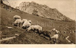 1938 Kis-Fátra, Malá Fatra; Velikonocní Pozdrav! / húsvéti üdvözlet / Easter greetings (EK)