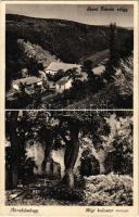 1940 Ábrahámhegy, Szent István völgy, Régi kolostor romjai (EK)