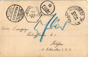 1900 Budapest V. Központi Egyetem (Jogi egyetem), villamos. Divald Károly 294. (r)