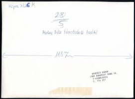 cca 1986 Kerekes Gábor (1945-2014) fotóriporter és fotóművész pecséttel jelzett felvétele Makay Béla...