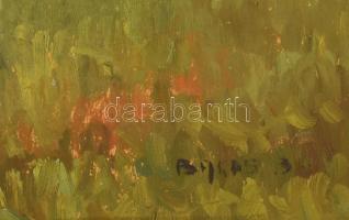 Balás B. jelzéssel: Kacsák a falu végen. Olaj, farost, jelzett, keretben 70x75cm