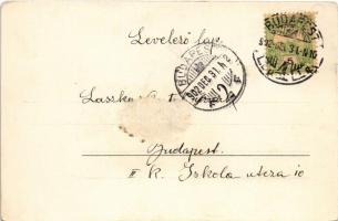 1902 Magyar irredenta rajz a határról / Hungarian irredenta from the border