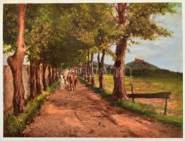 Rákóczi album. II. Rákóczi Ferenc és kurucai. A Pesti Napló előfizetőinek készült kiadás. Bp., é.n. ...