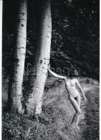 cca 1969 Az ikerfák szexis támogatója, szolidan erotikus felvétel, Czakó László (?-?) pécsi fotóművész hagyatékából 1 db modern nagyítás, 21x15 cm