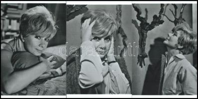 cca 1969 Ruttkai Éva (1927-1986) Kossuth-díjas színésznő portré felvételei a lakásában, Kotnyek Anta...