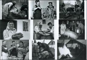 cca 1965 Hagyományos disznóvágás faluhelyen, Kotnyek Antal (1921-1990) budapesti fotóriporter hagyatékából 21 db modern nagyítás, 21x15 cm és 10x15 cm