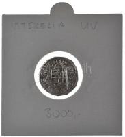 DN Mária Terézia 1740-1780. Denár mintájára készült Ag utánveret emlékérem "MÉE-Gödöllő" f...