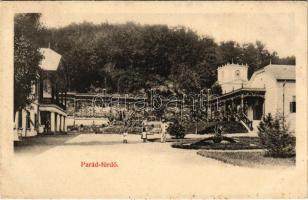 1914 Parád-fürdő, fürdő szálloda (fl)