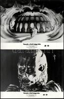 cca 1985 ,,Támadás a Krull bolygó ellen című amerikai fantasztikus kalandfilm jelenetei és szereplői, 7 db vintage produkciós filmfotó, ezüst zselatinos fotópapíron, a használatból eredő (esetleges) kisebb hibákkal, 18x24 cm